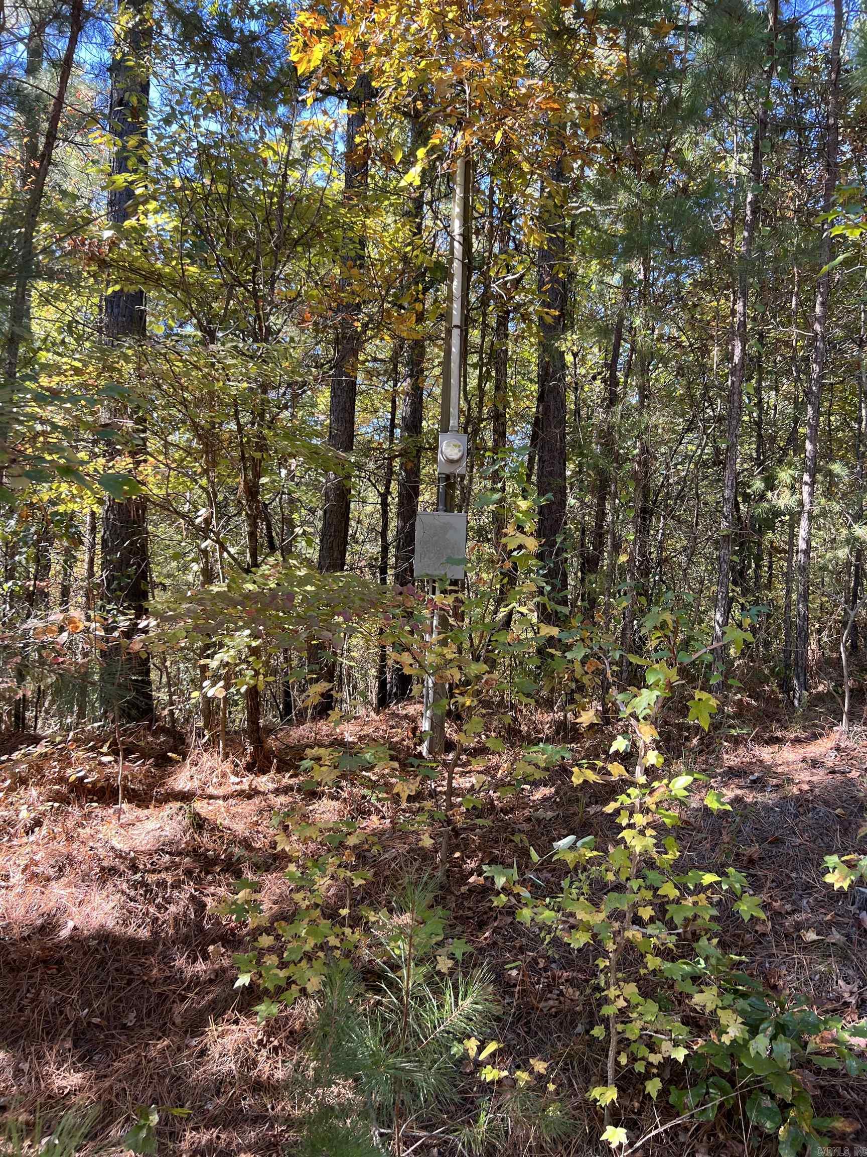 LOT 17 SUMMER HILL  Hot Springs Village, AR