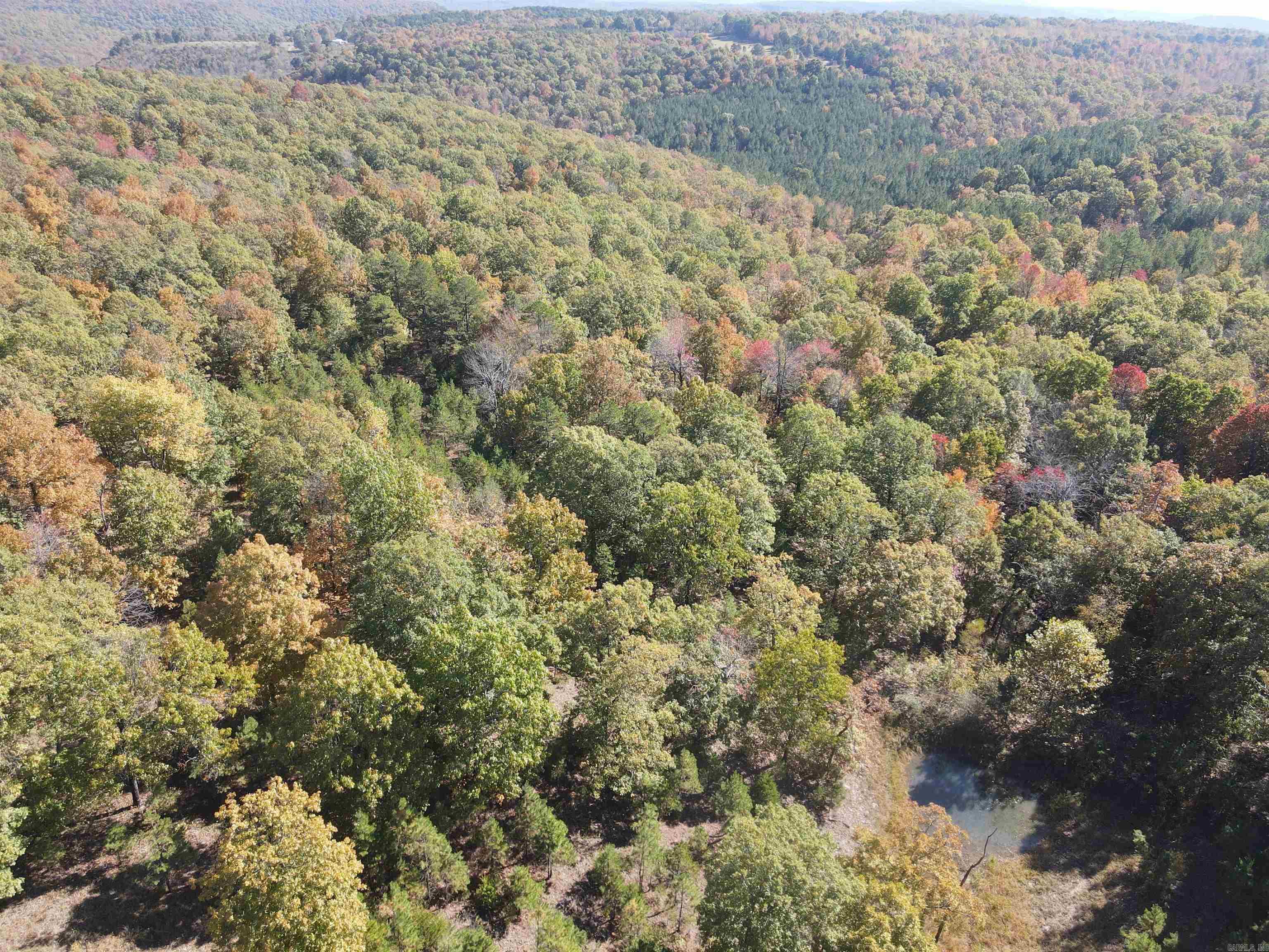 00 Hwy 254  Leslie, AR