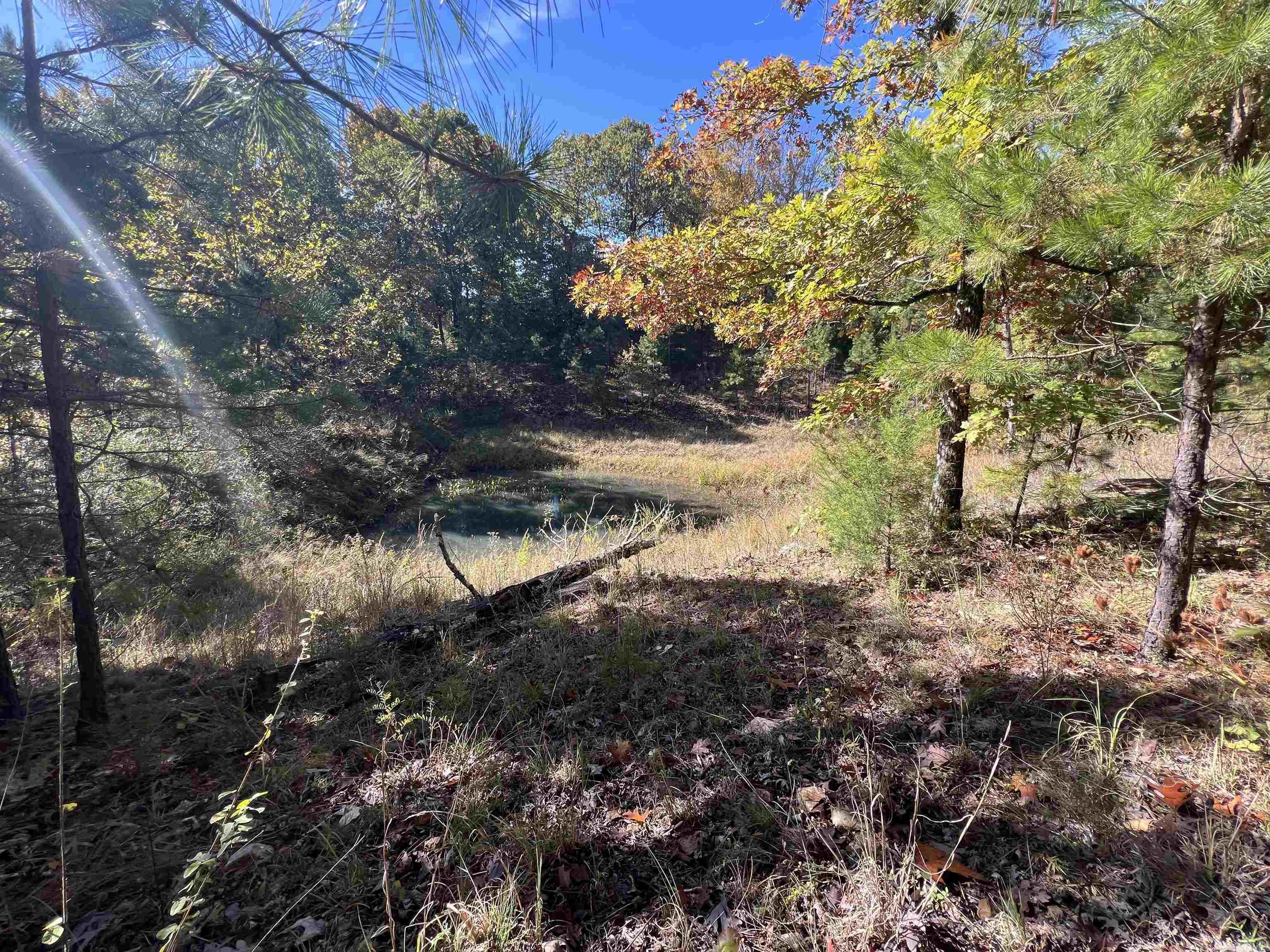 00 Hwy 254  Leslie, AR