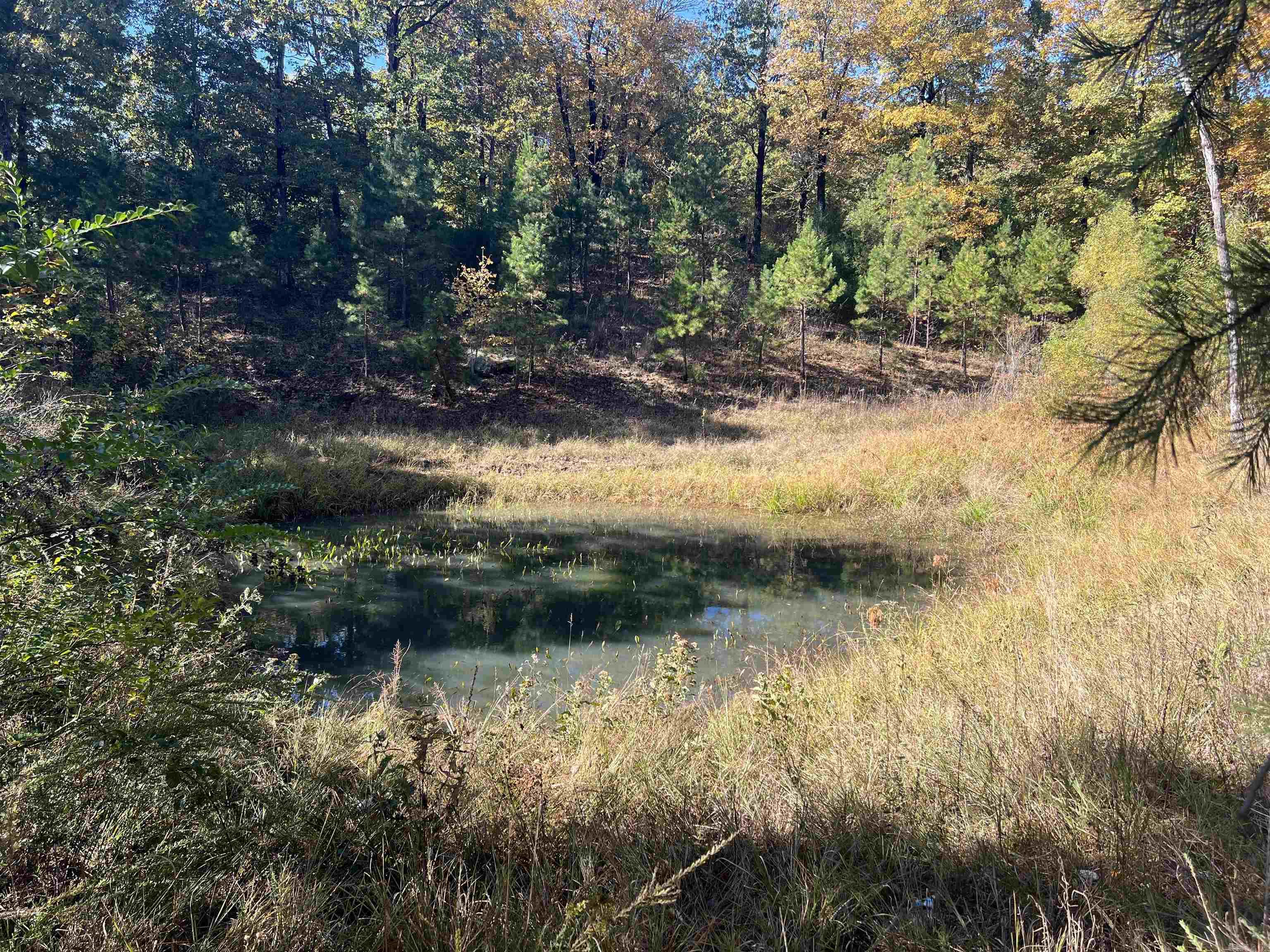 00 Hwy 254  Leslie, AR