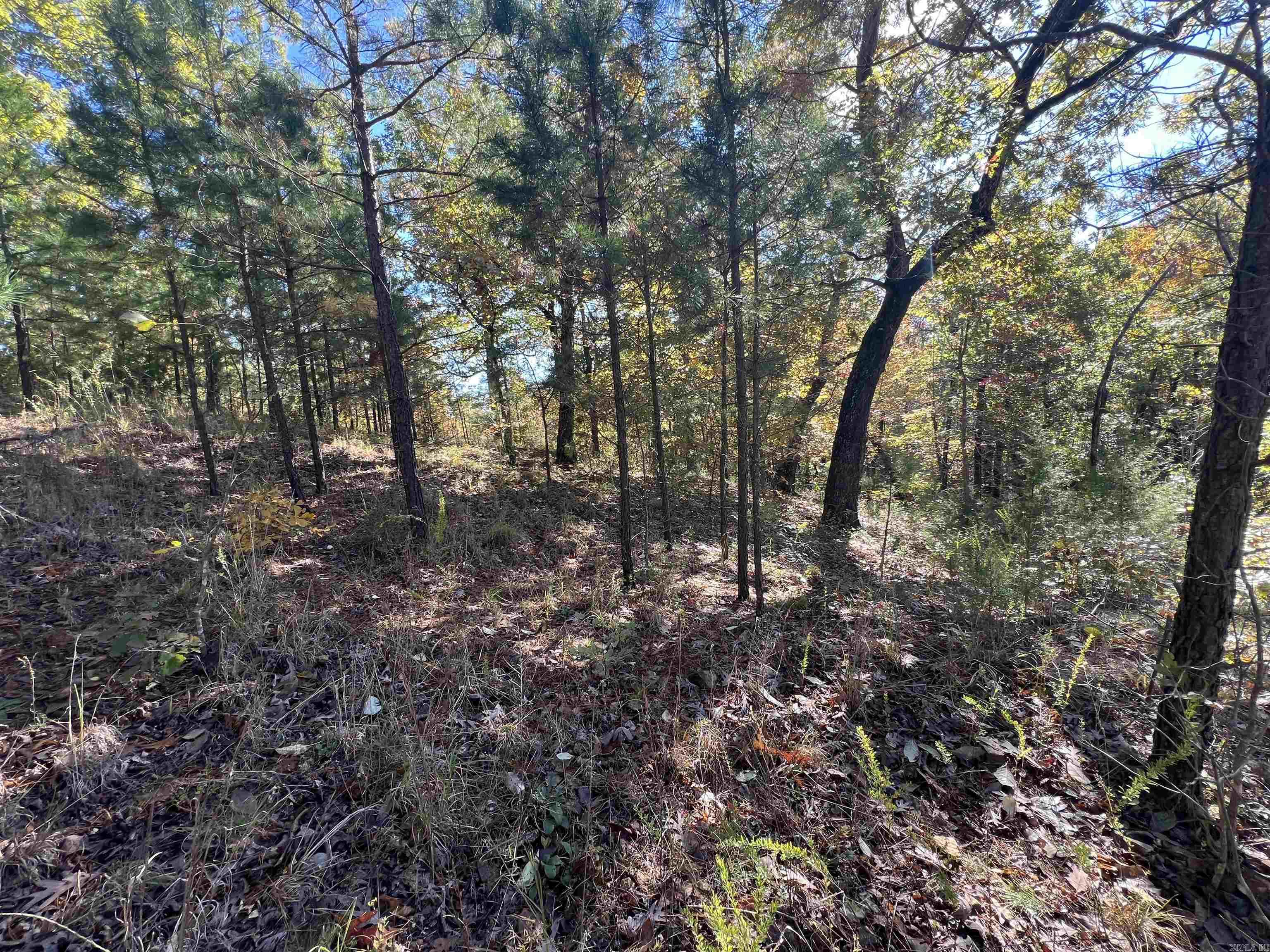 00 Hwy 254  Leslie, AR