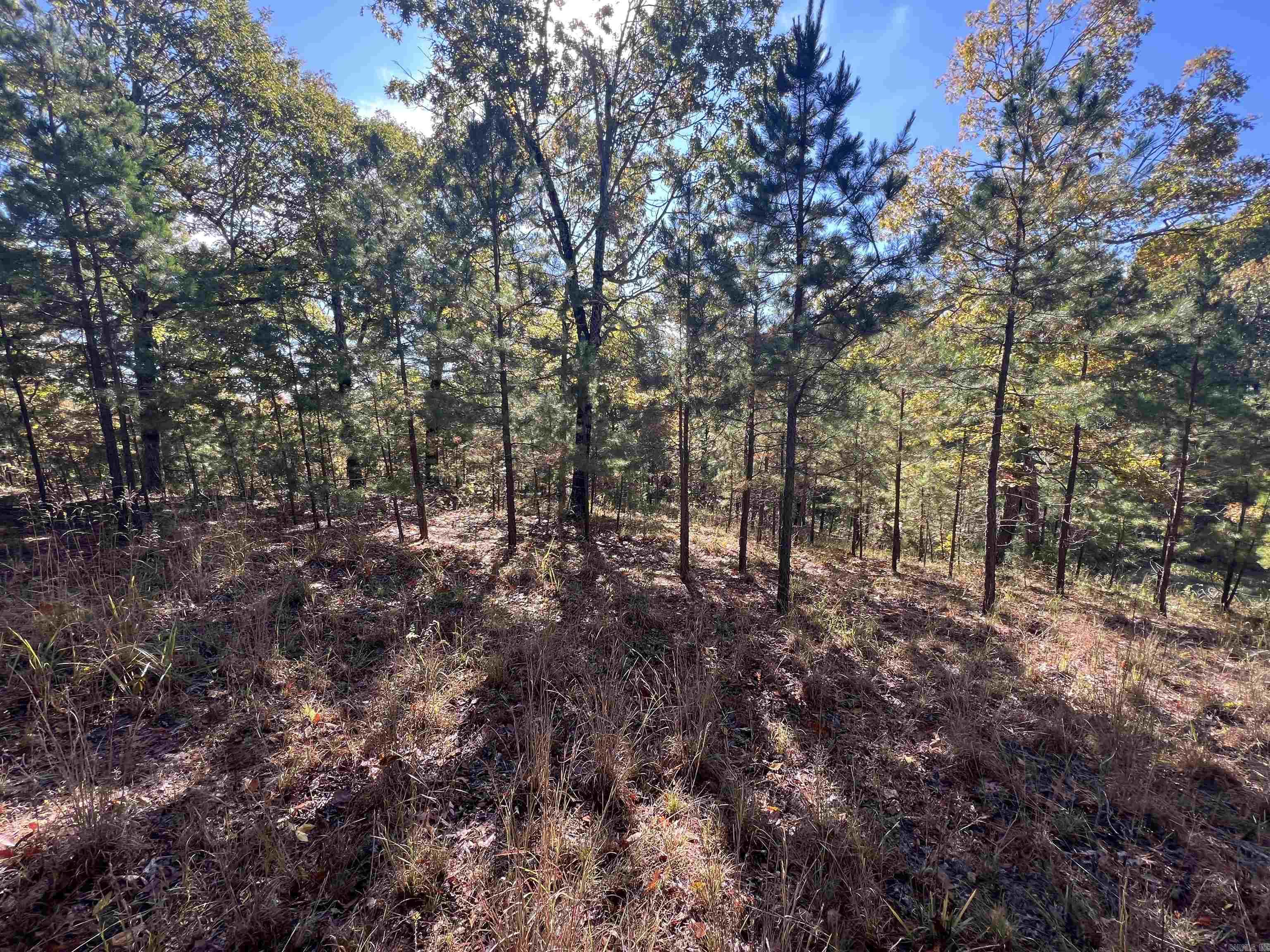 00 Hwy 254  Leslie, AR