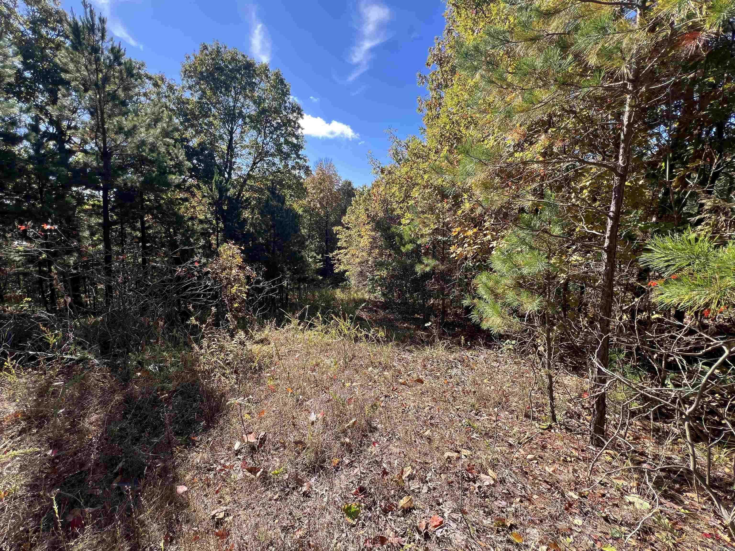 00 Hwy 254  Leslie, AR