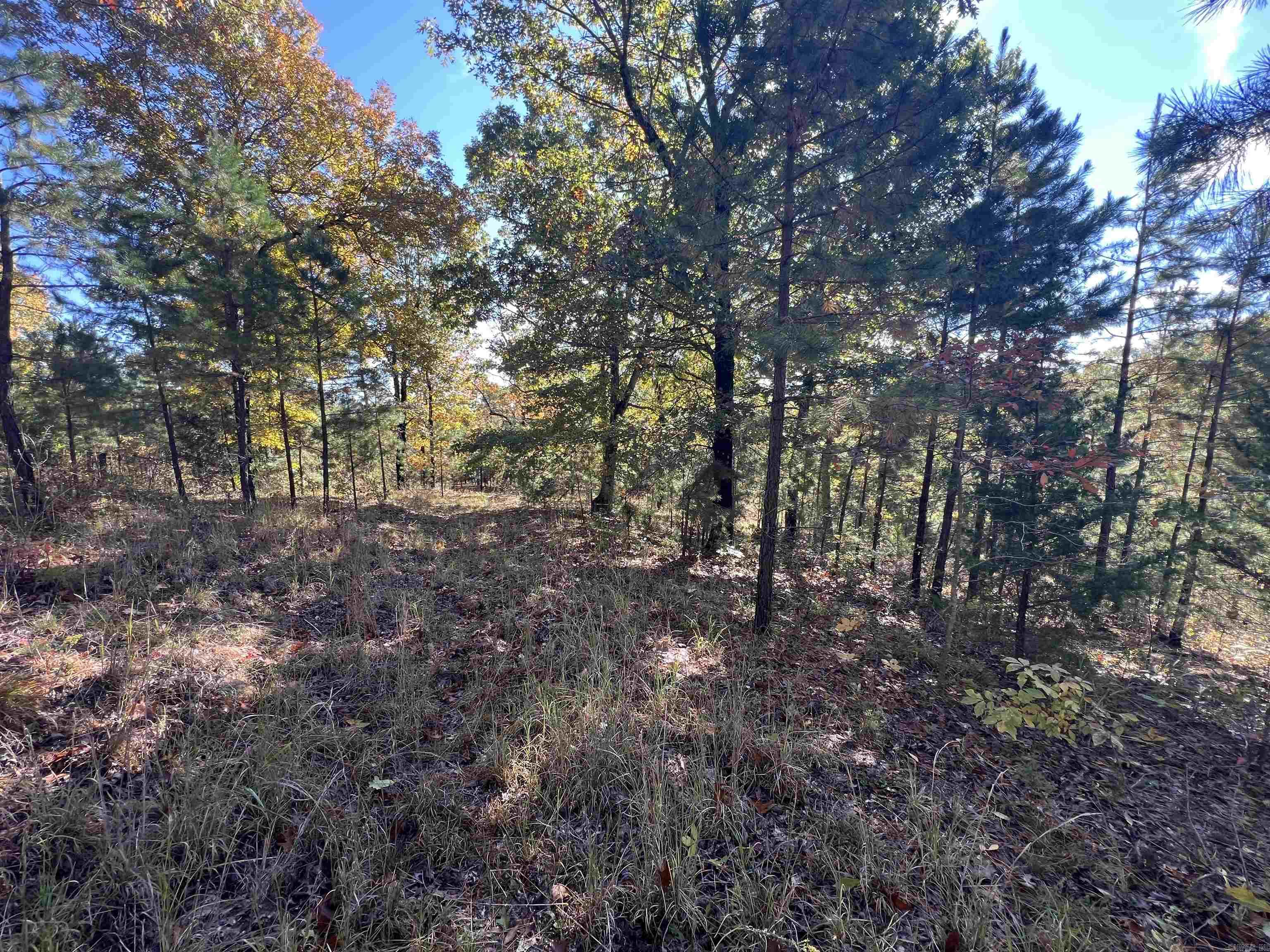 00 Hwy 254  Leslie, AR