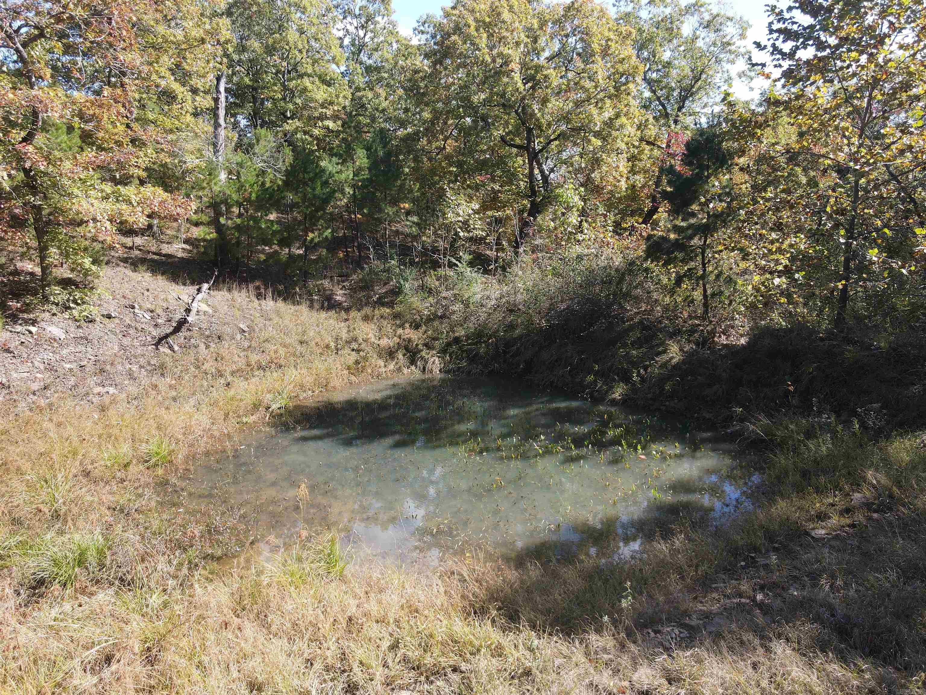 00 Hwy 254  Leslie, AR