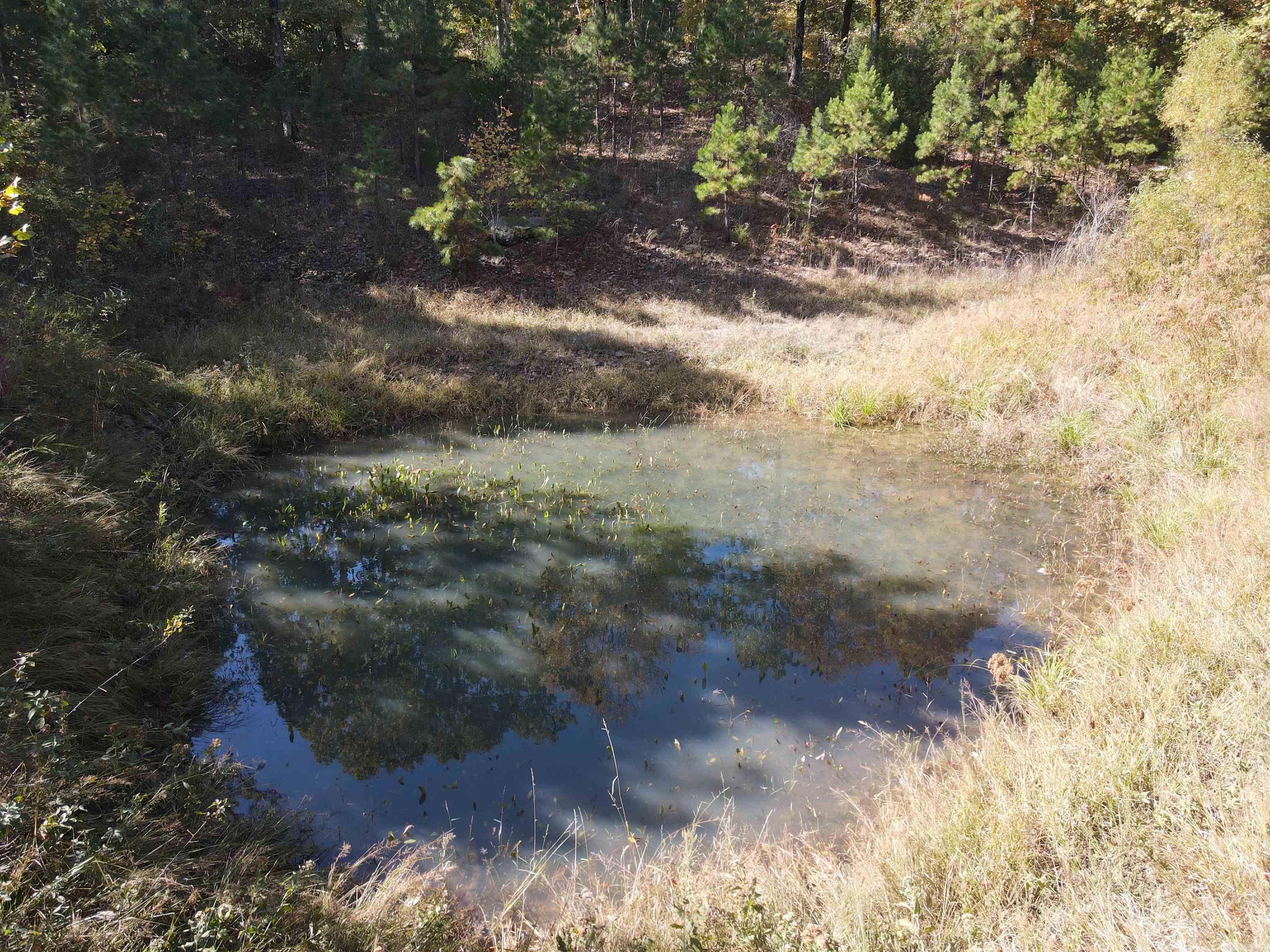 00 Hwy 254  Leslie, AR