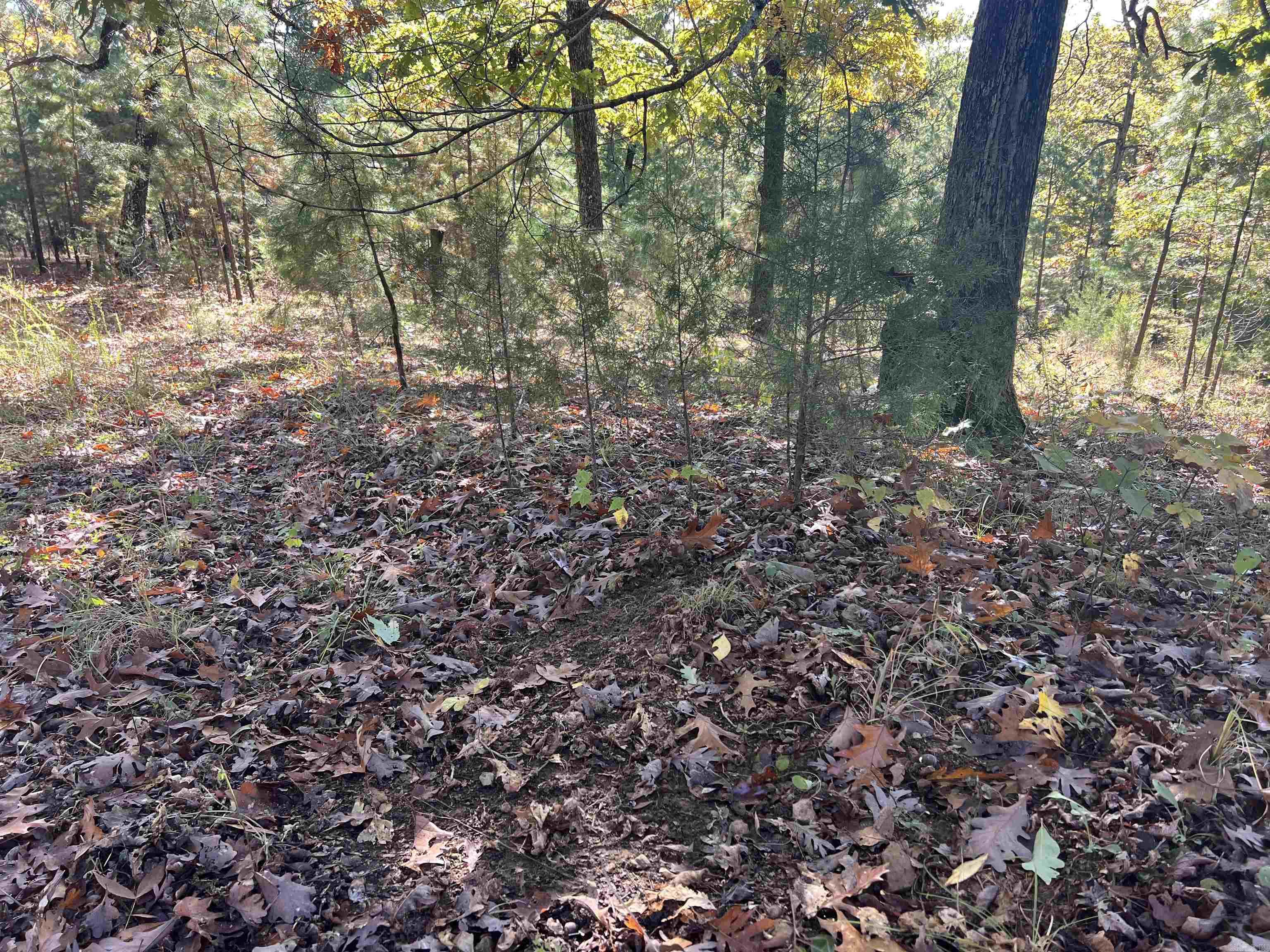 00 Hwy 254  Leslie, AR