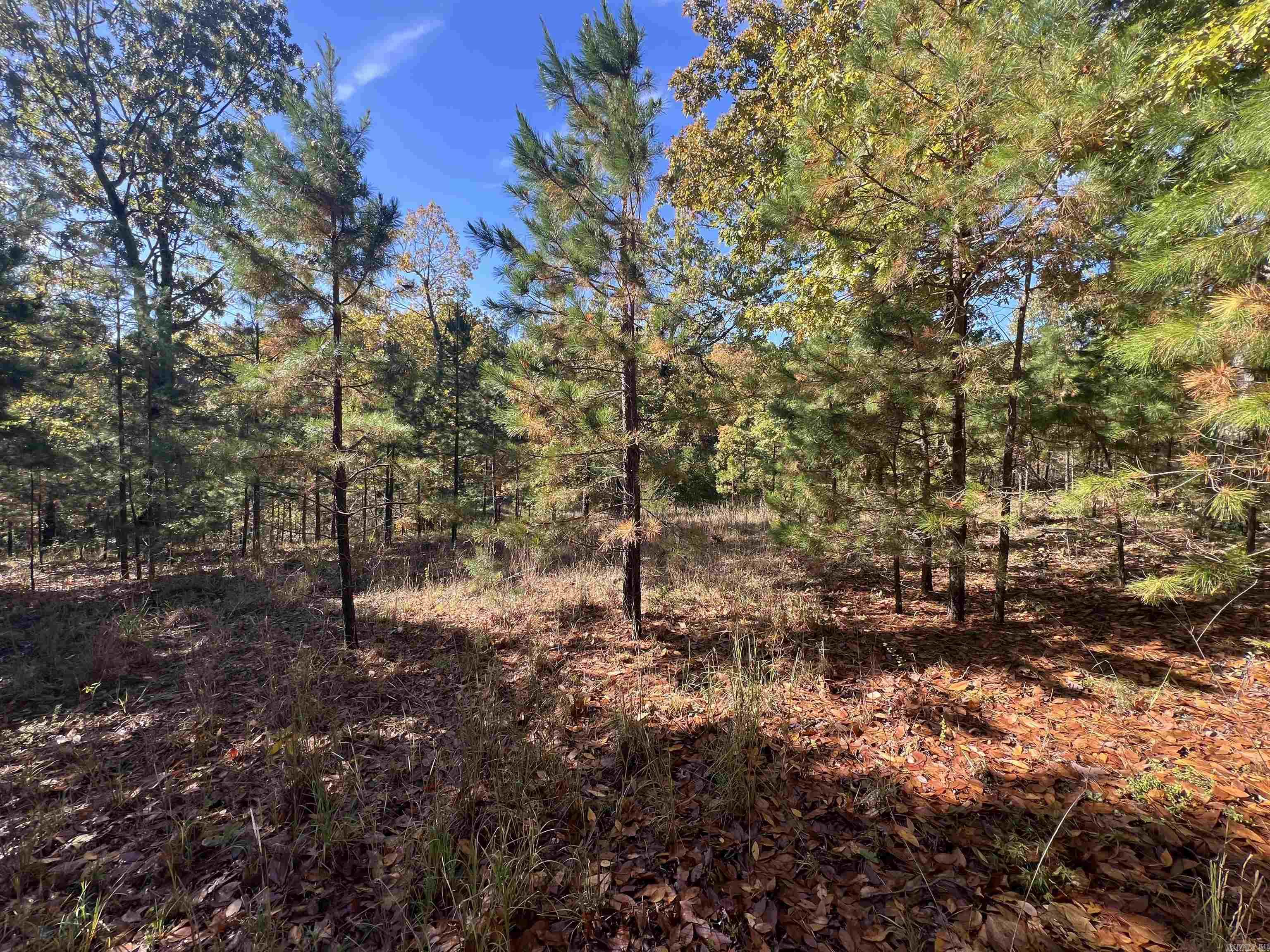 00 Hwy 254  Leslie, AR