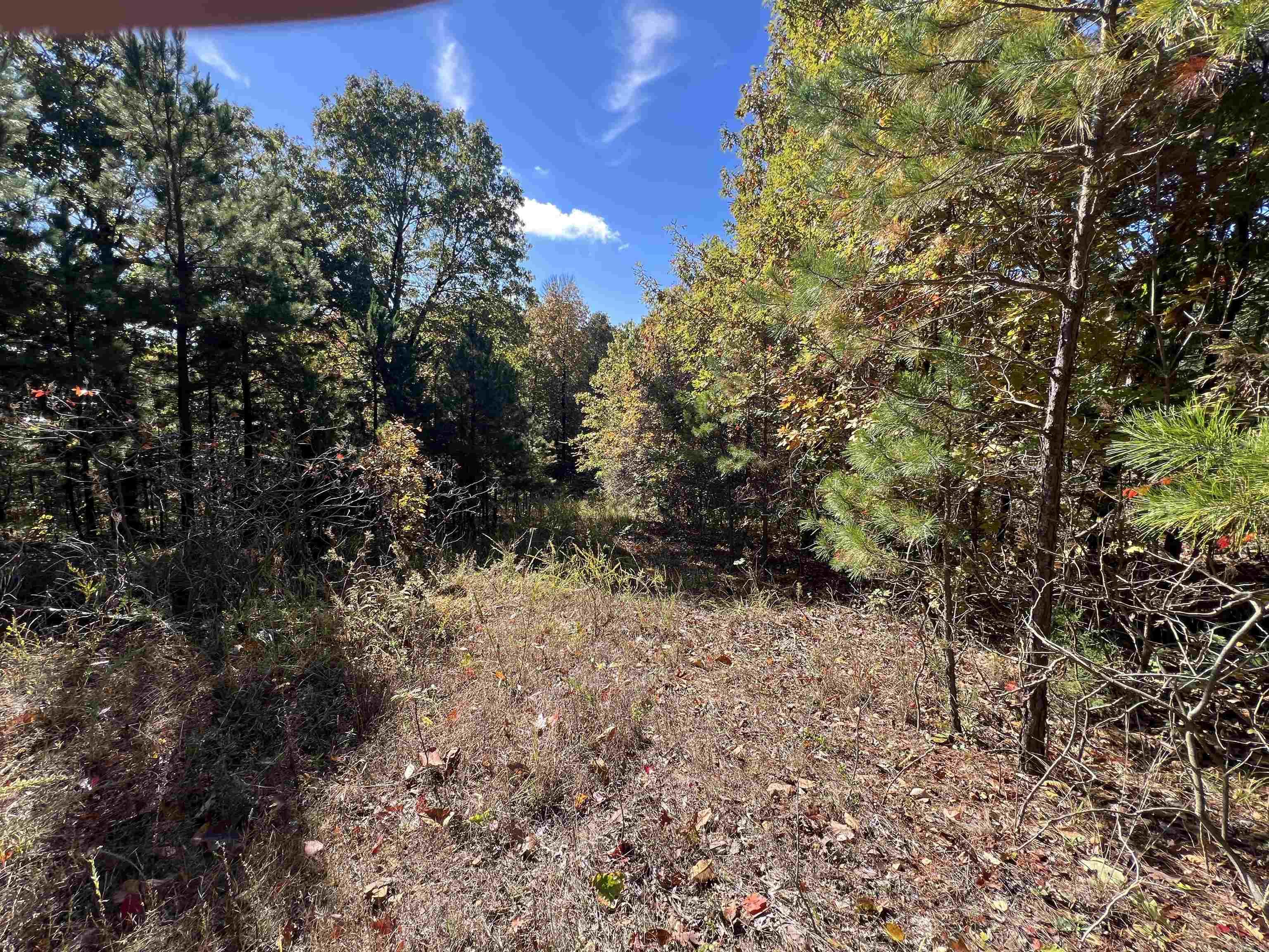 00 Hwy 254  Leslie, AR