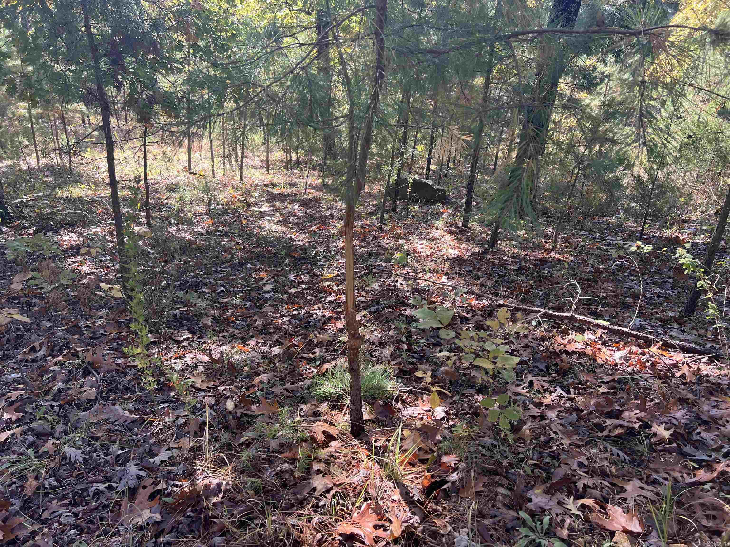 00 Hwy 254  Leslie, AR