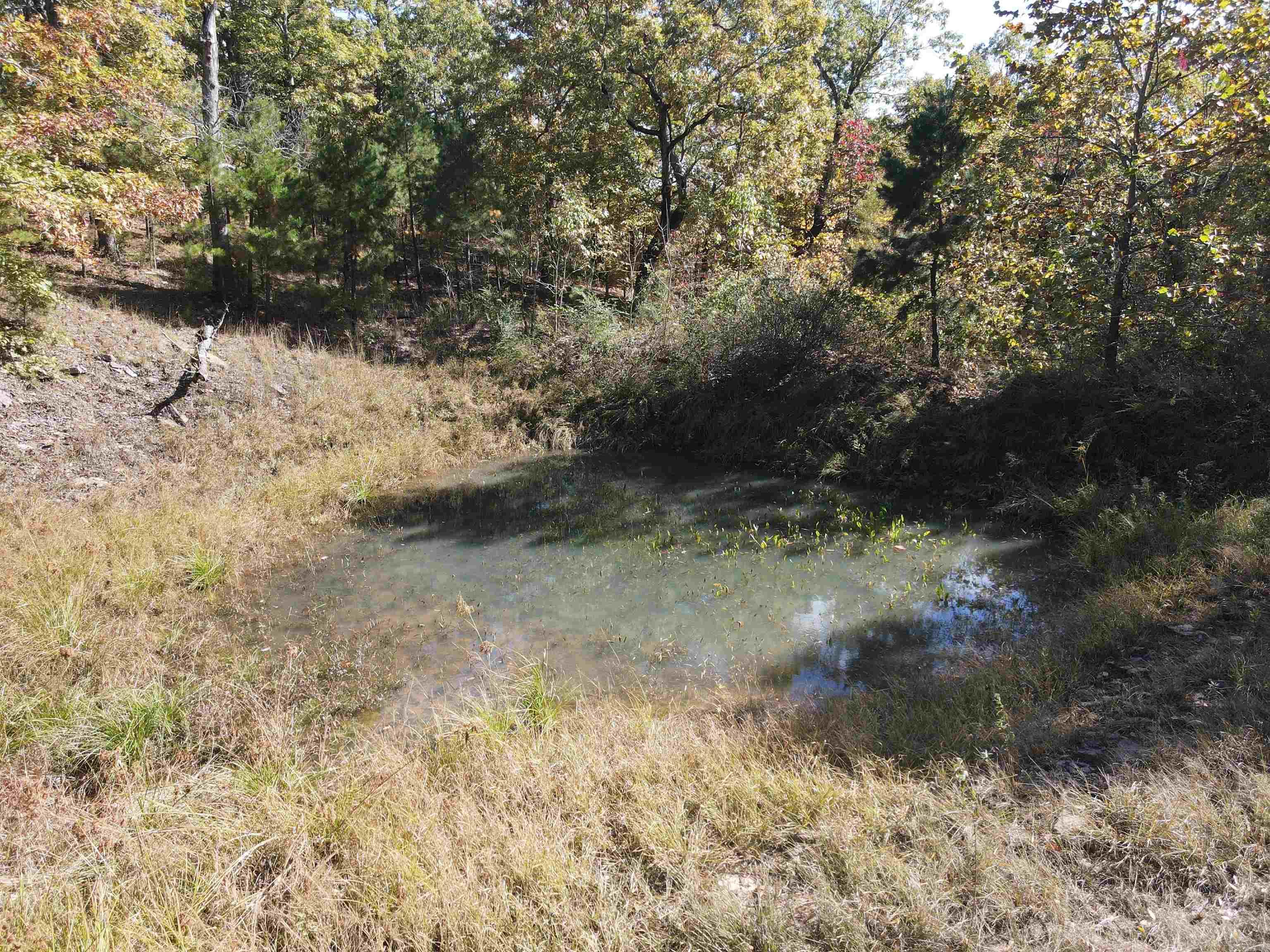 00 Hwy 254  Leslie, AR