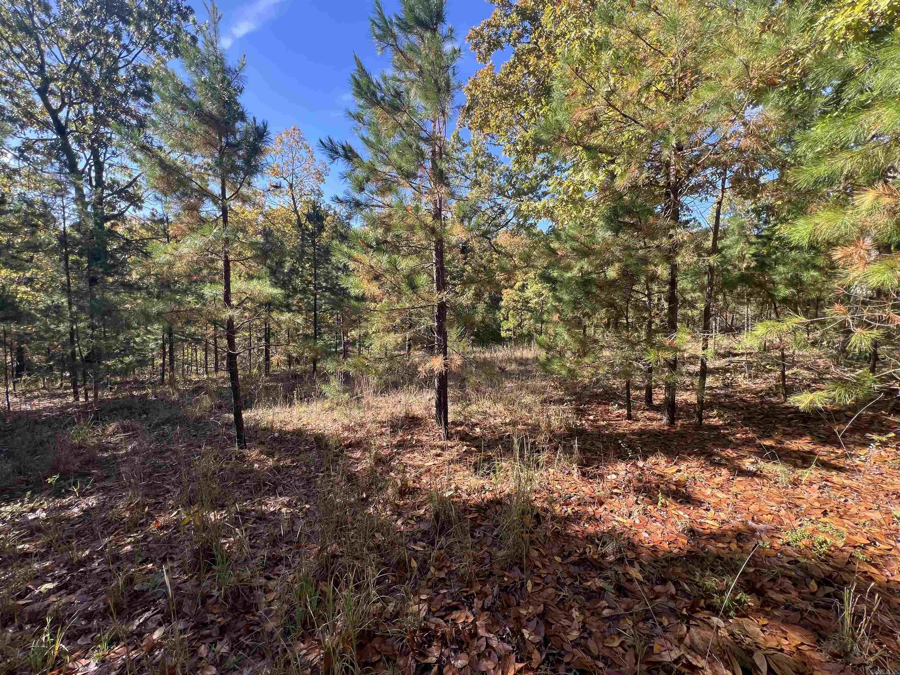 00 Hwy 254  Leslie, AR