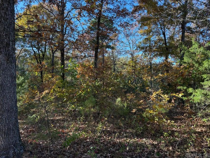 3980 Blackland  Pleasant Plains, AR