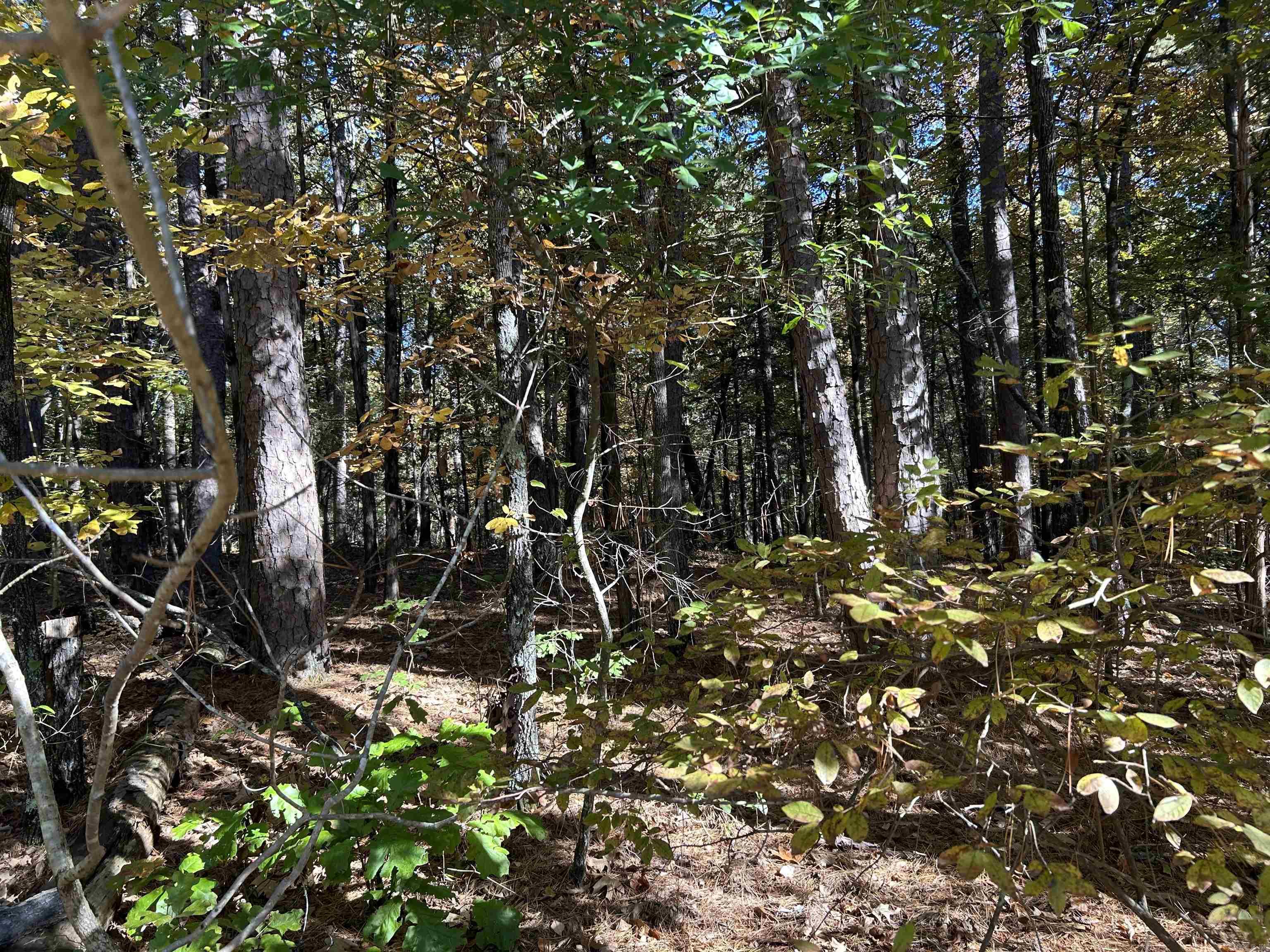 123 Robinhood  Fairfield, AR