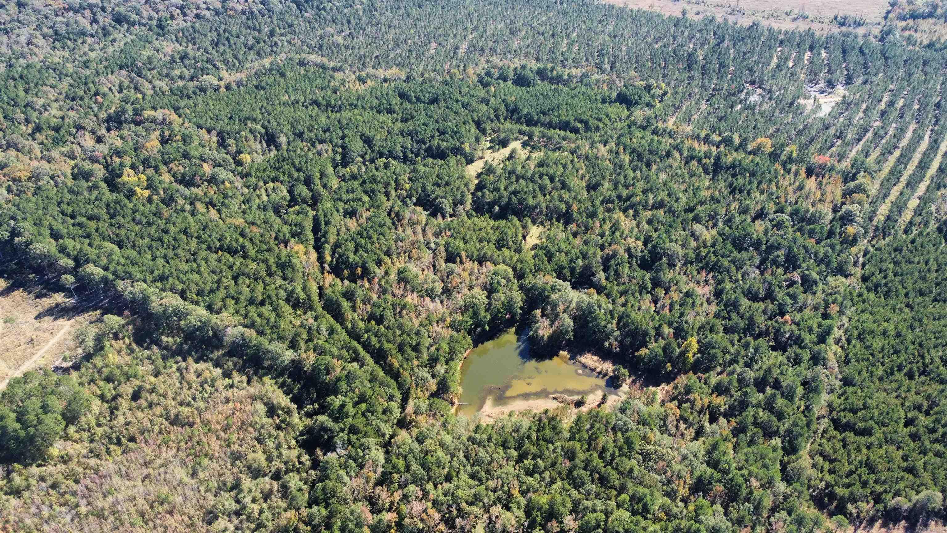 Bradley 52 Road Road