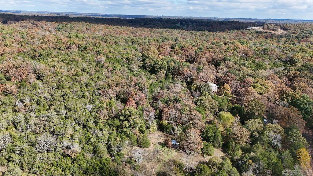 40 acres Squirrel Road  Imboden, AR