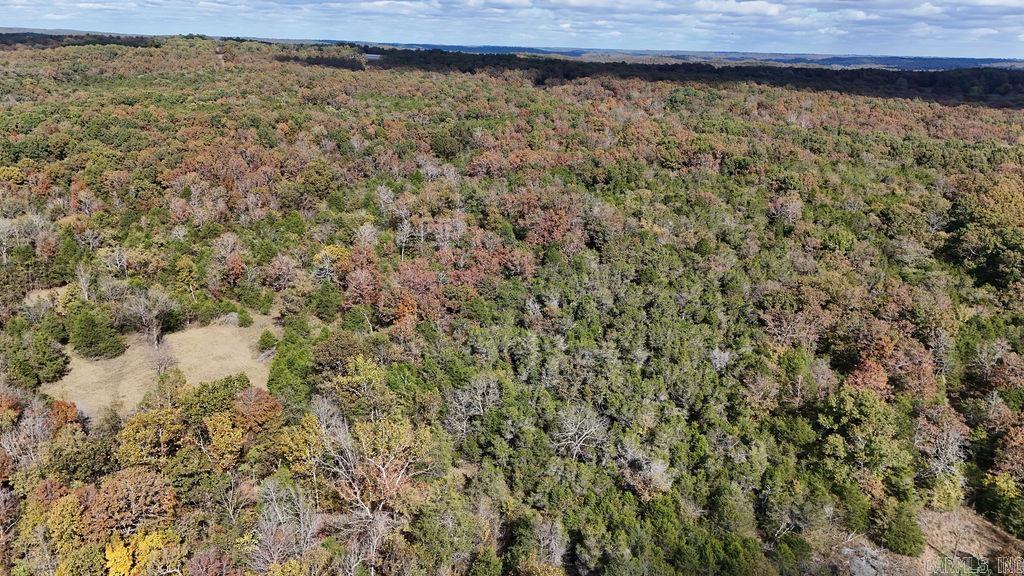 40 acres Squirrel Road  Imboden, AR