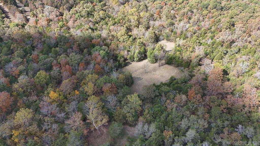 40 acres Squirrel Road  Imboden, AR