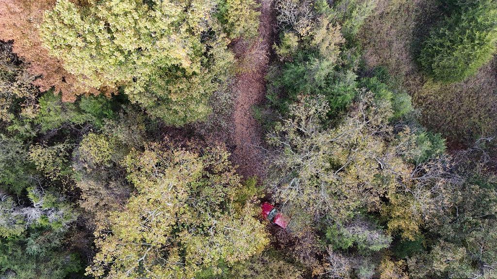 40 acres Squirrel Road  Imboden, AR