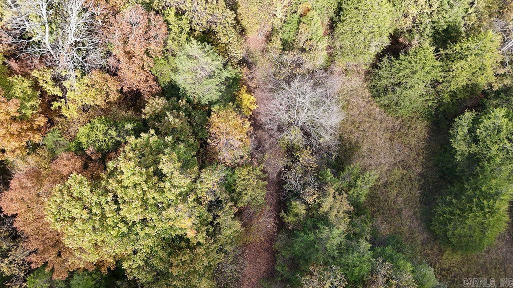 40 acres Squirrel Road  Imboden, AR