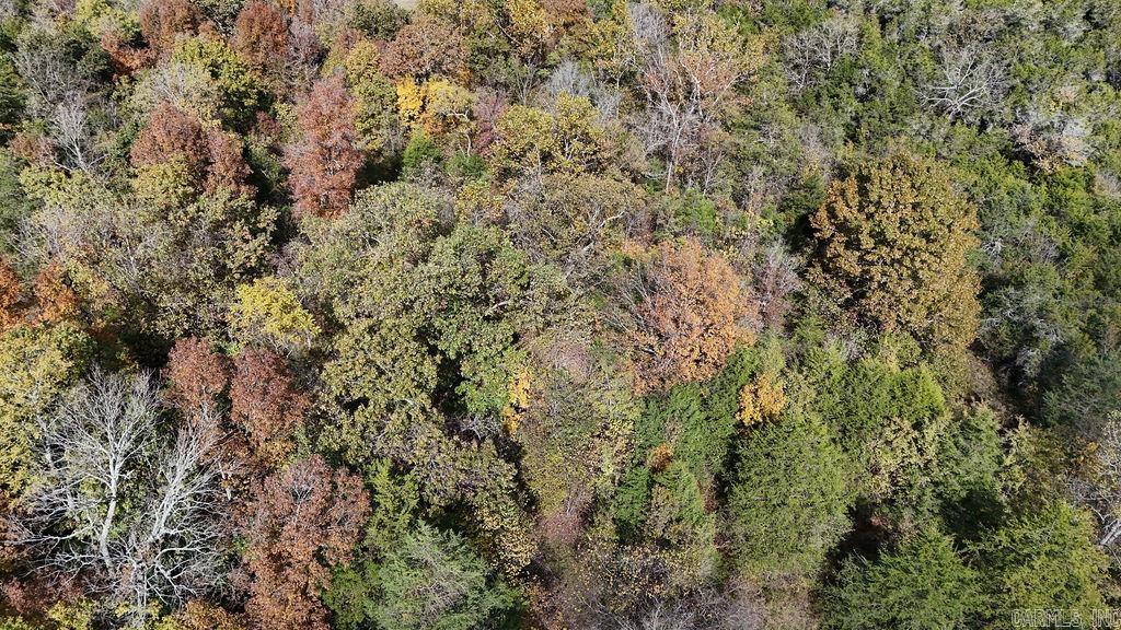 40 acres Squirrel Road  Imboden, AR