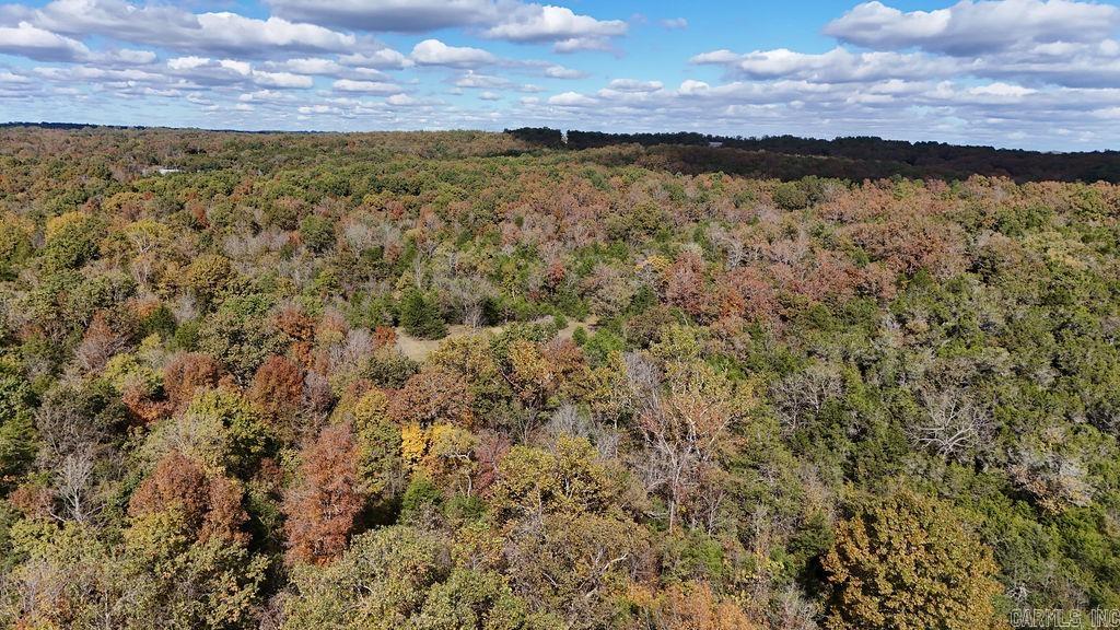 40 acres Squirrel Road  Imboden, AR