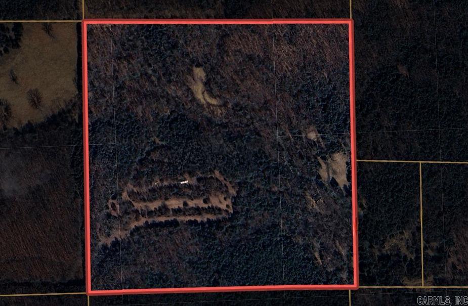 40 acres Squirrel Road  Imboden, AR