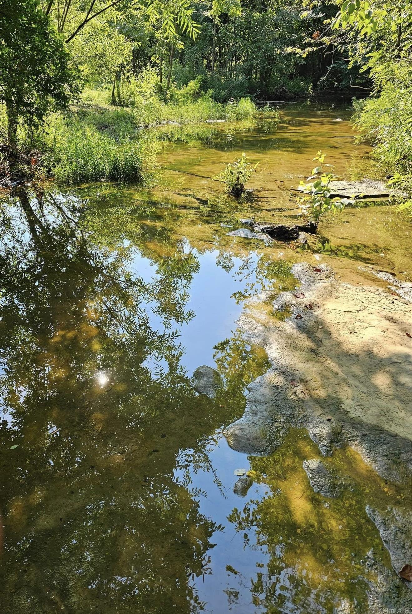 40 acres Squirrel Road  Imboden, AR