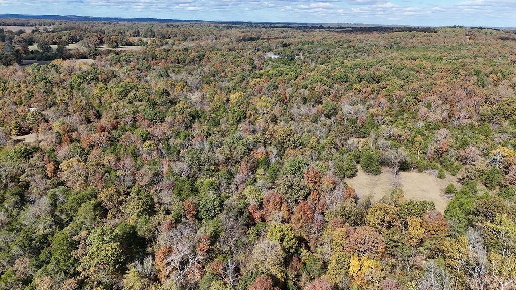 40 acres Squirrel Road  Imboden, AR