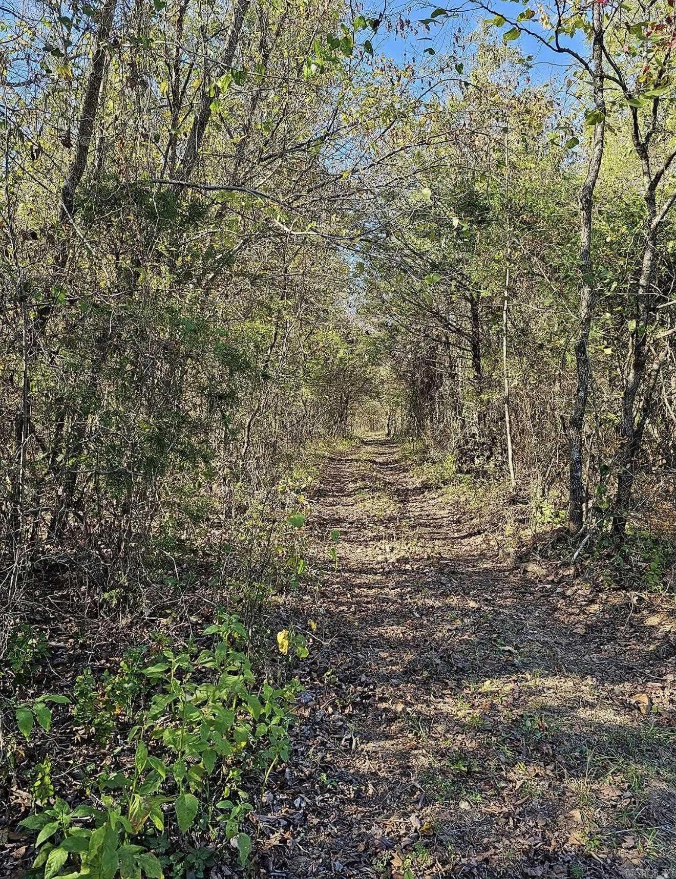 40 acres Squirrel Road  Imboden, AR