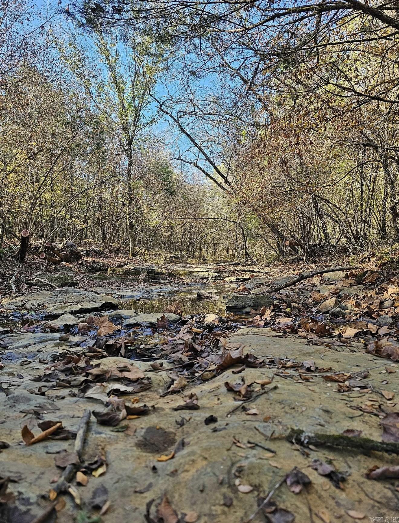 40 acres Squirrel Road  Imboden, AR