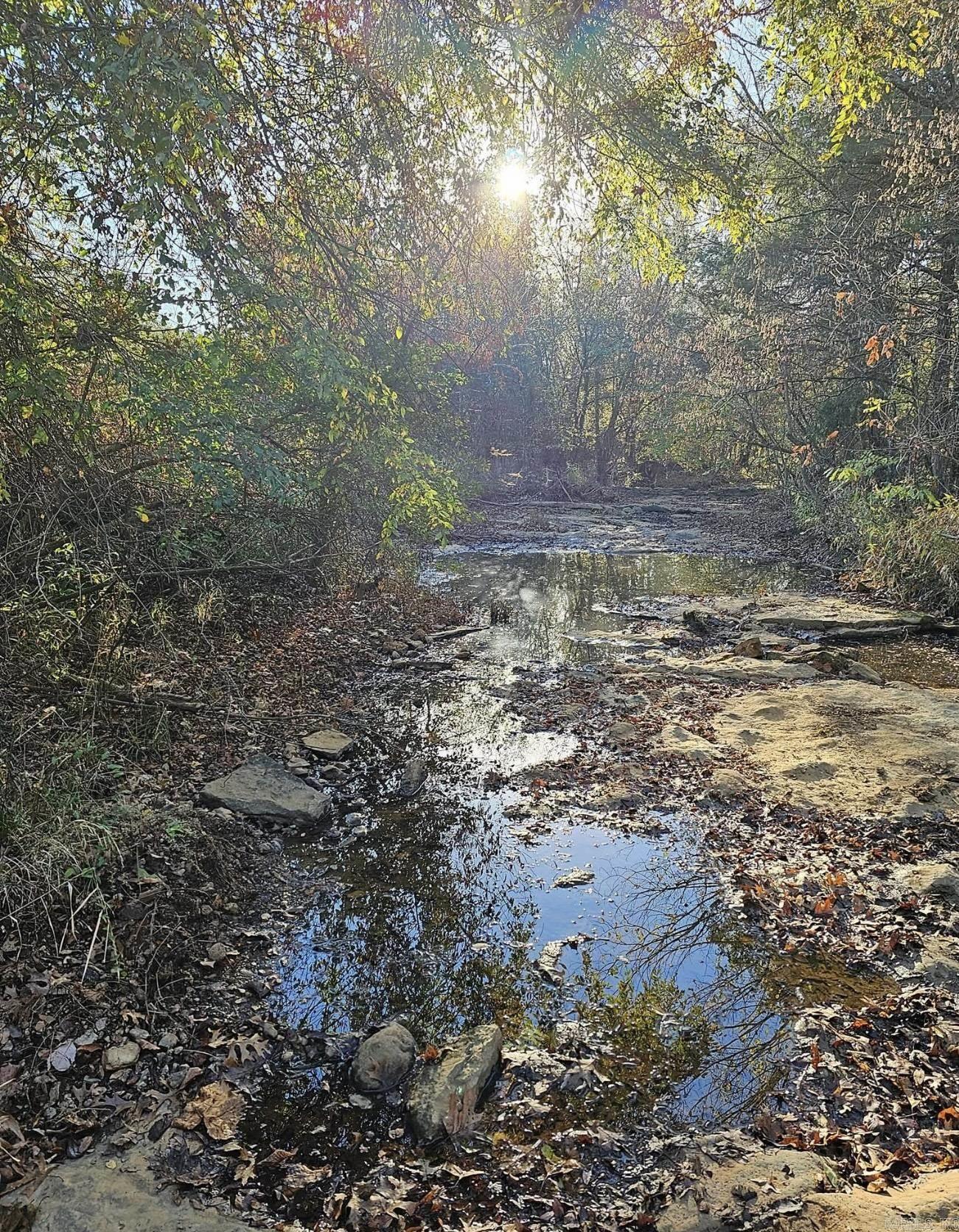 40 acres Squirrel Road  Imboden, AR