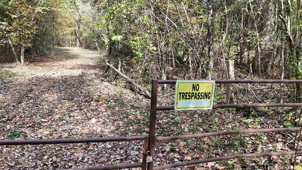 40 acres Squirrel Road  Imboden, AR