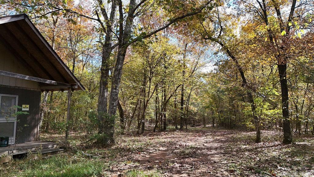 40 acres Squirrel Road  Imboden, AR