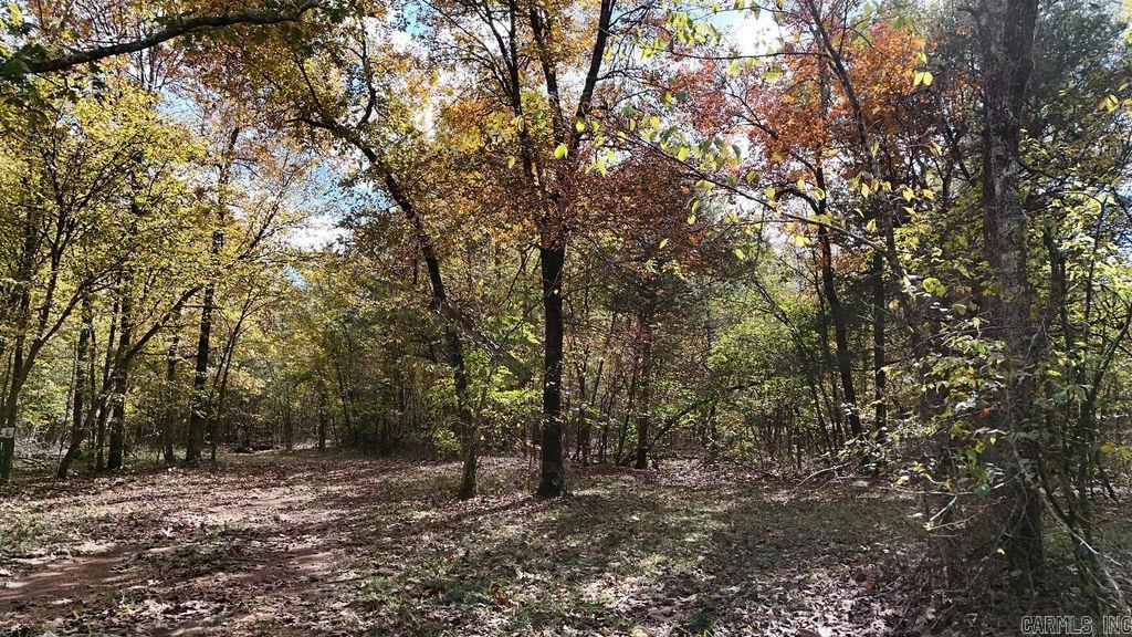 40 acres Squirrel Road  Imboden, AR