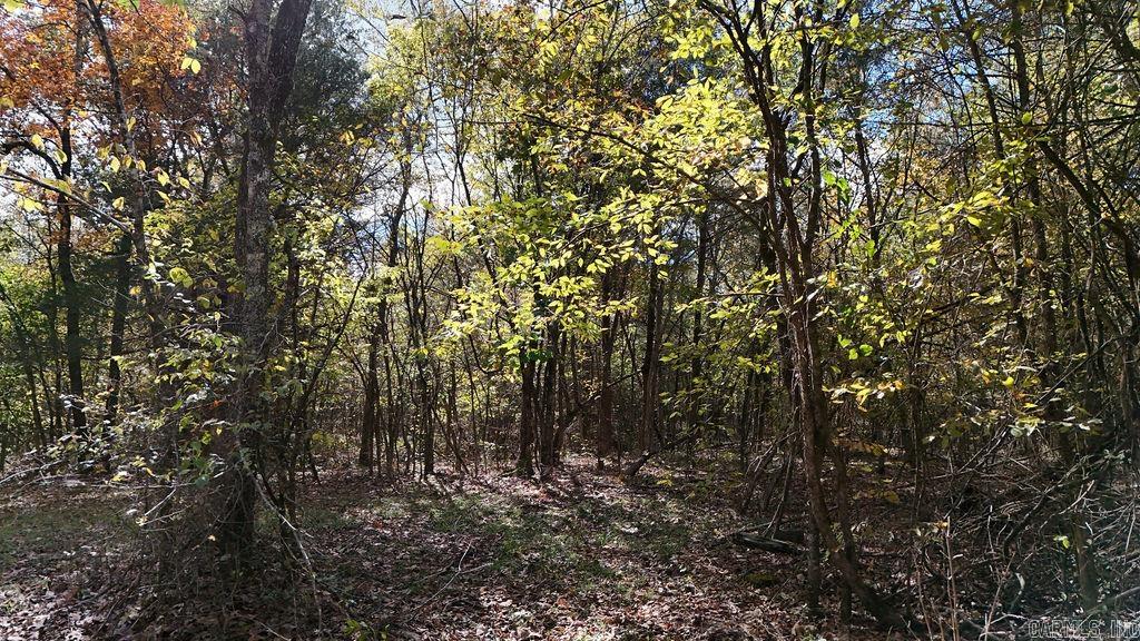 40 acres Squirrel Road  Imboden, AR