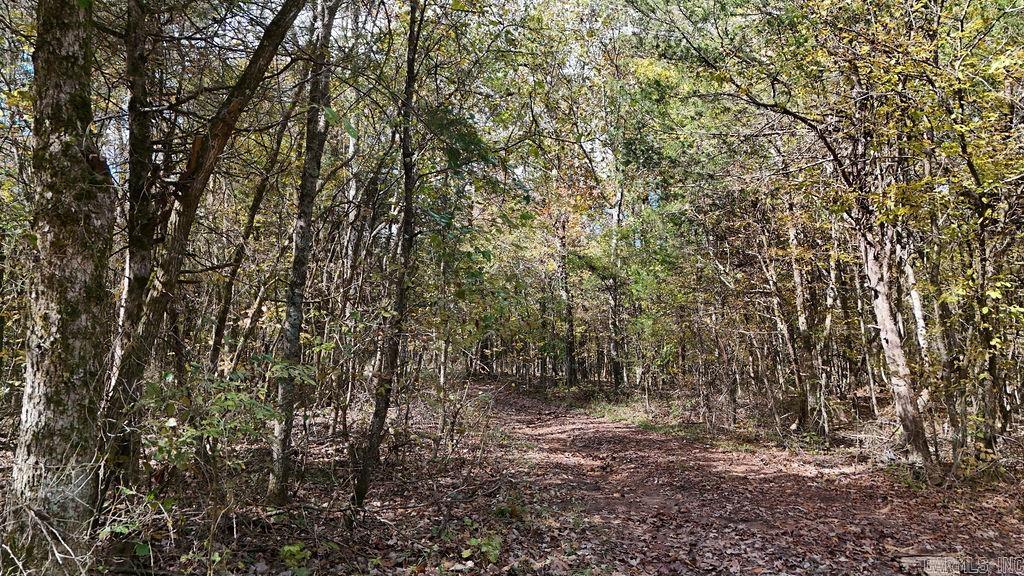40 acres Squirrel Road  Imboden, AR