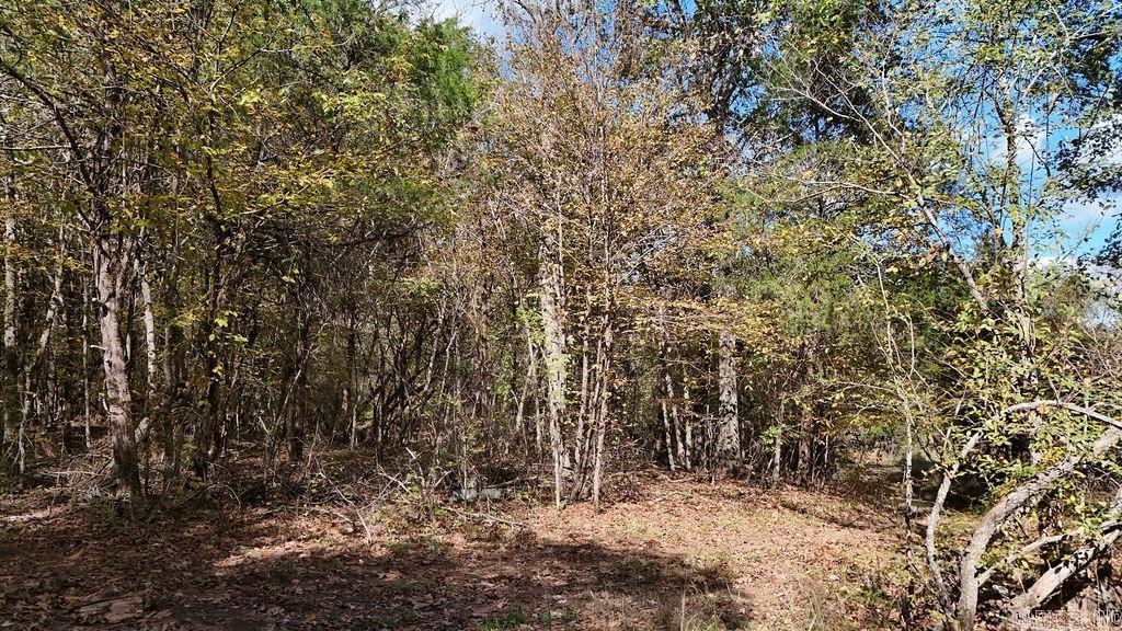 40 acres Squirrel Road  Imboden, AR