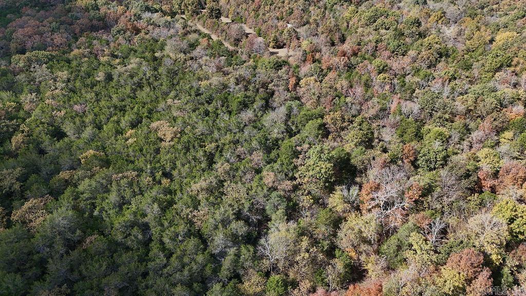 40 acres Squirrel Road  Imboden, AR