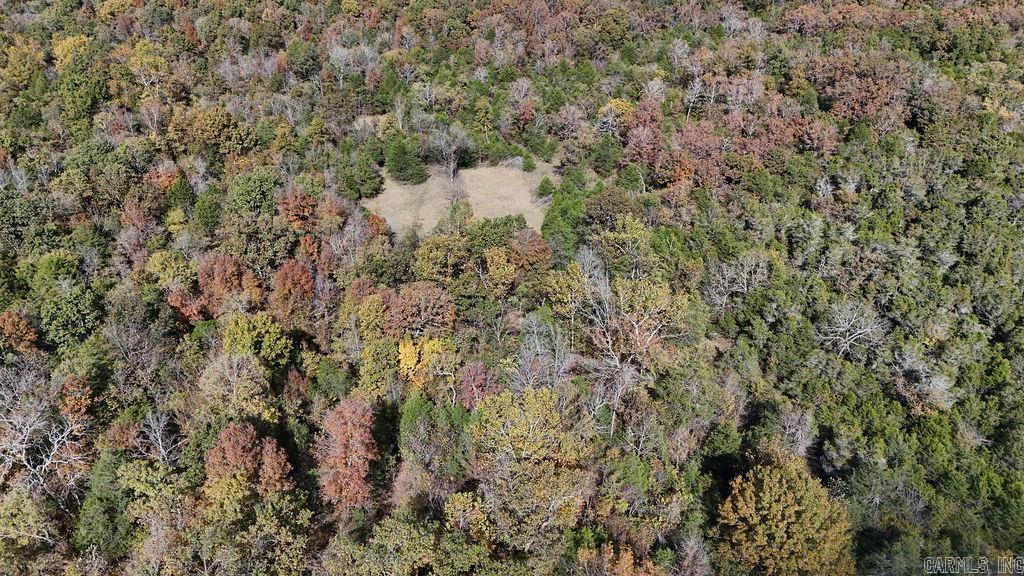 40 acres Squirrel Road  Imboden, AR