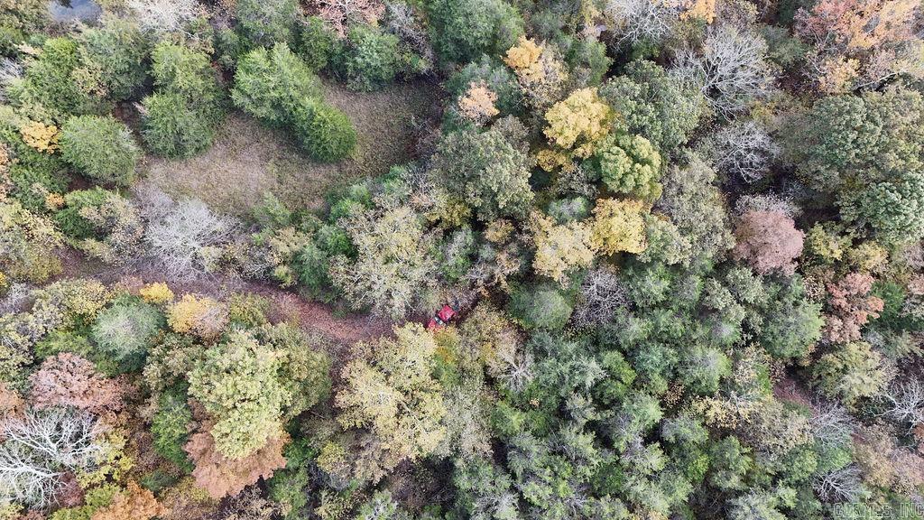 40 acres Squirrel Road  Imboden, AR
