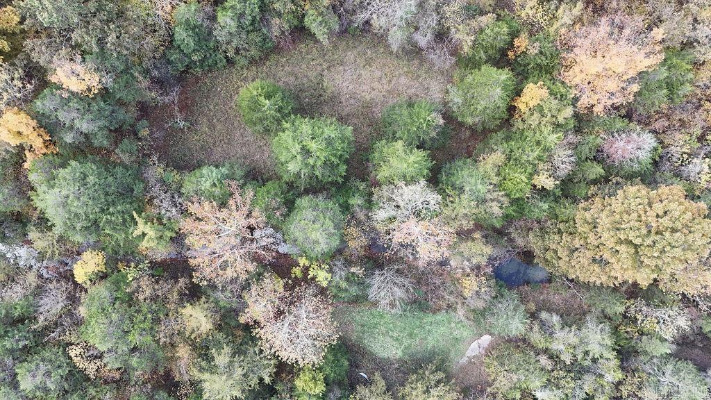 40 acres Squirrel Road  Imboden, AR