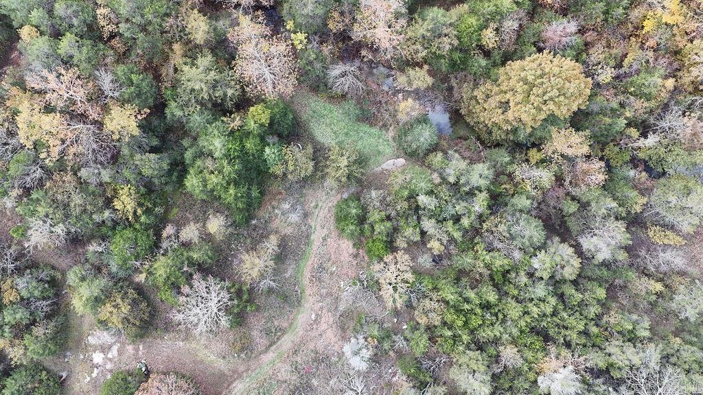 40 acres Squirrel Road  Imboden, AR