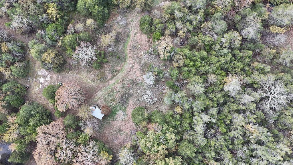 40 acres Squirrel Road  Imboden, AR