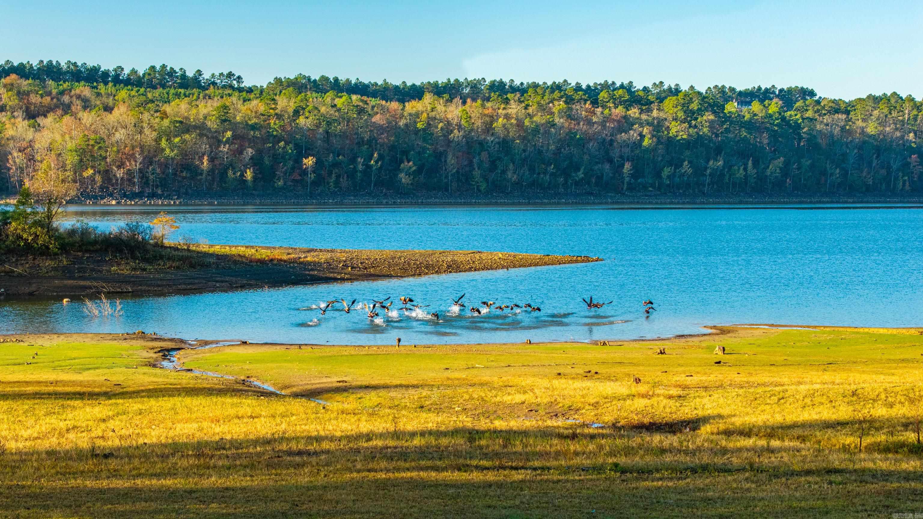 49 Bennet Cove Road Kirby, AR 71950