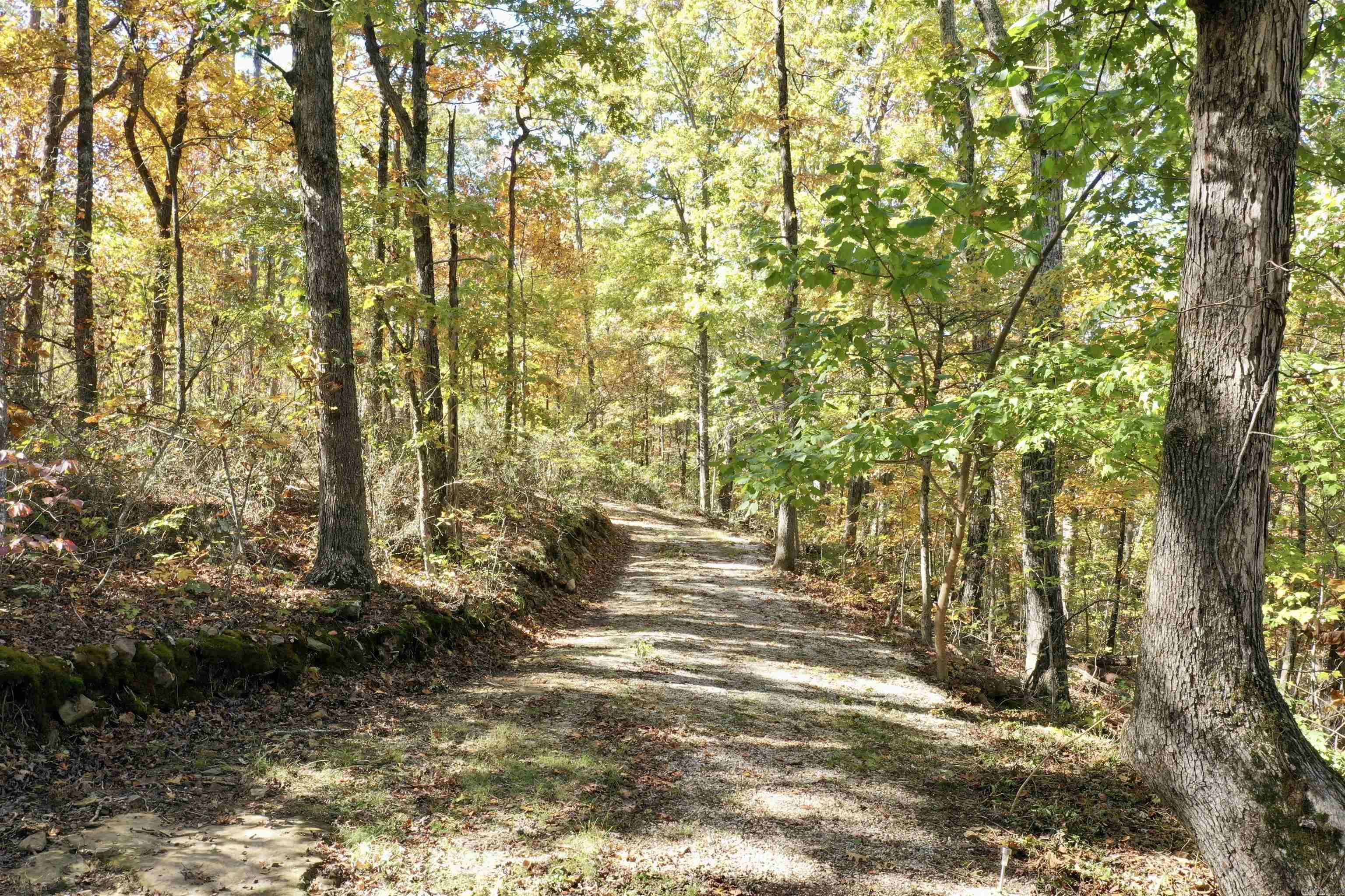 480 Hickory Hill  Drasco, AR