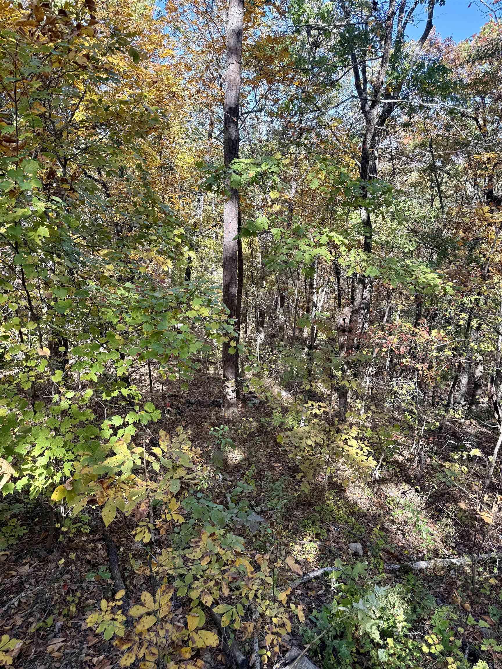 480 Hickory Hill  Drasco, AR