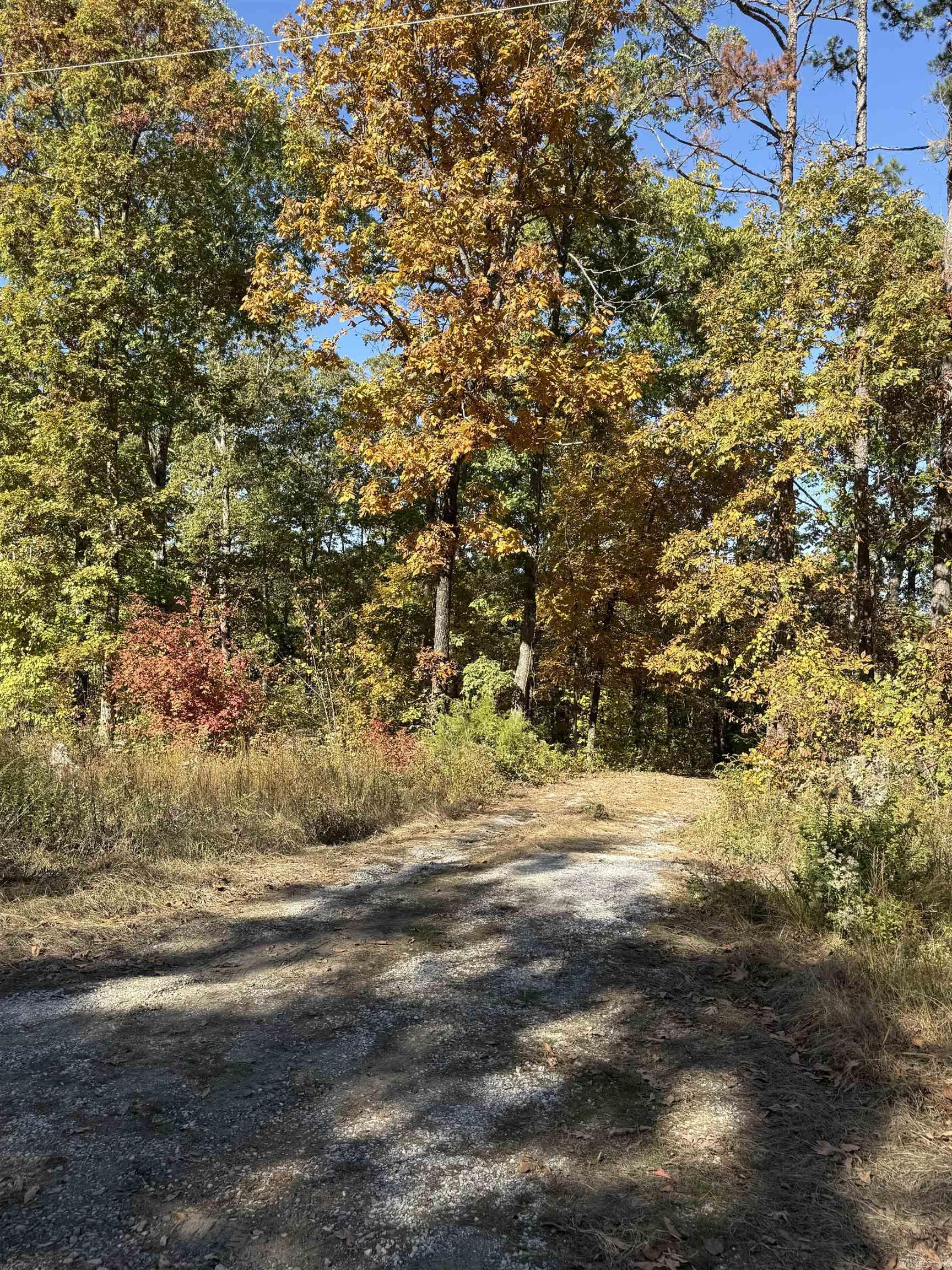 480 Hickory Hill  Drasco, AR