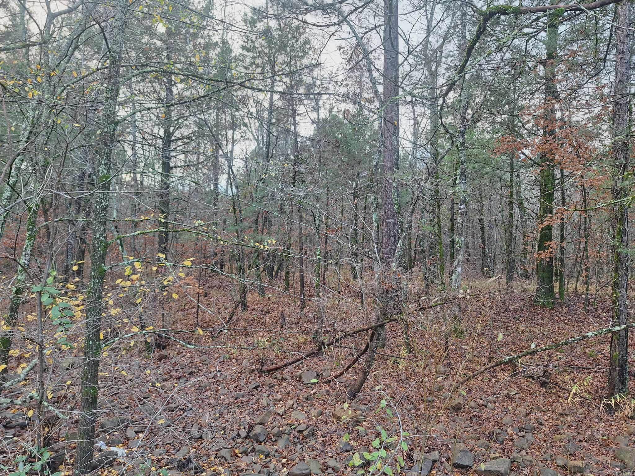 7449 Hwy 270  Boles, AR