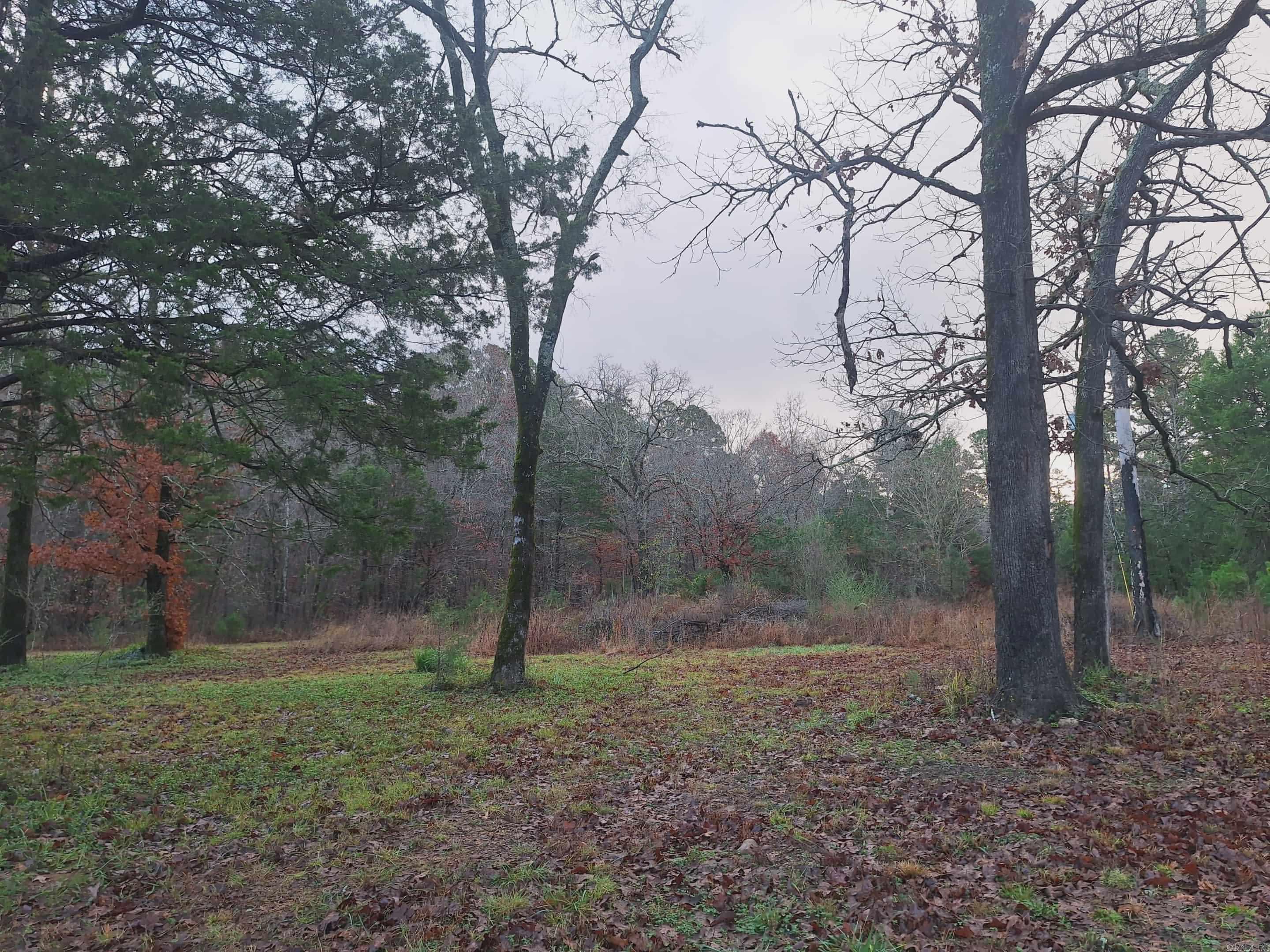 7449 Hwy 270  Boles, AR